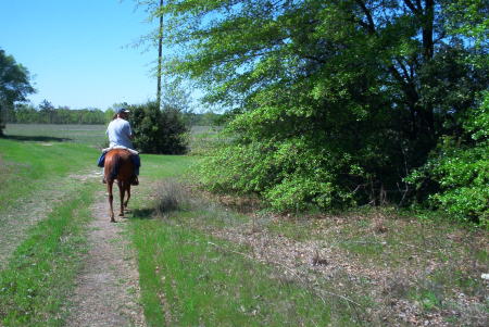 me and my horse