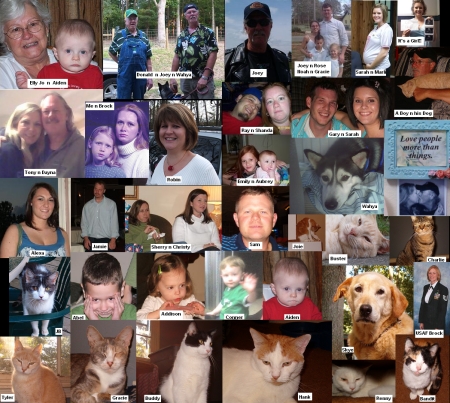 a collage of the family