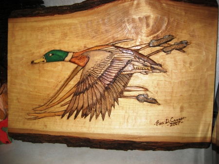 Mallard duck shallow relief woodcarving