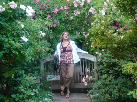 In the Rose Garden