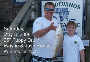 Puppy Drum at Ocracoke