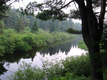 Algonquin Park