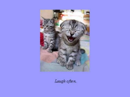 laughy catty