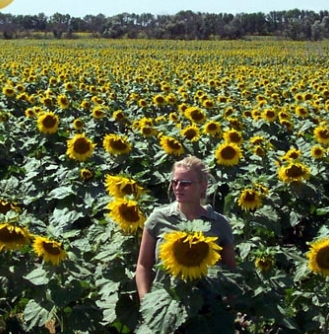 Me in a sunflower field in ND