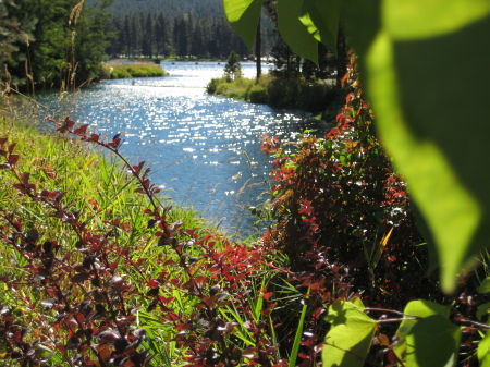 Pamela Dart's album, Idaho, Summer 2010