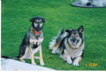 my dogs I loved them both (RIP)