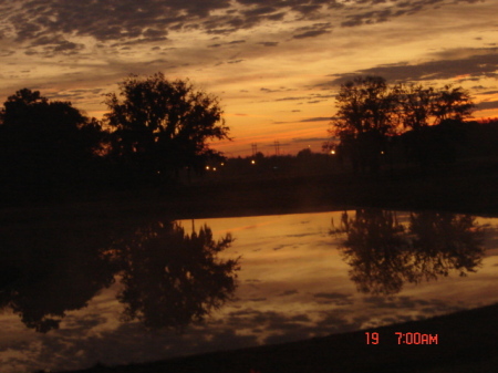 Jan 2010 - Backyard Sunrise