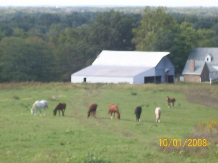 Southern illinois farm