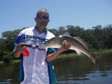 redfish