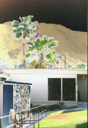 My Palm Springs Hideout