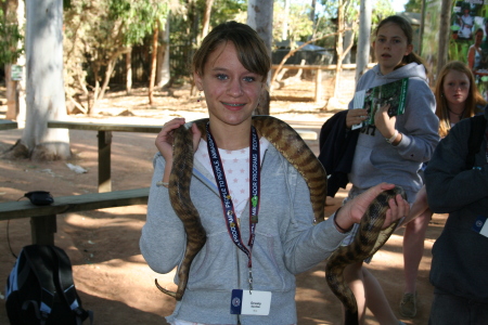 Devany and the Python