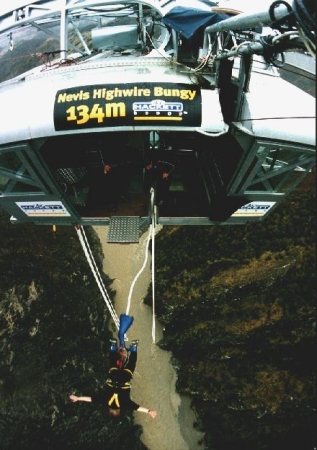 Bungy Jumping in New Zealand