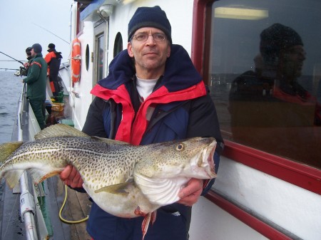 Cod in the Baltic sea