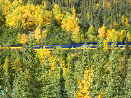 Fall in Denali