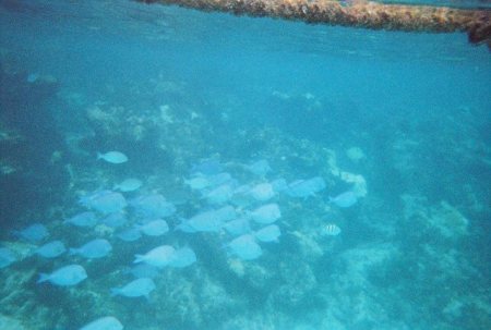 Isla Muejeres, Mexico