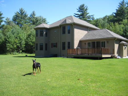 Jake in the back yard