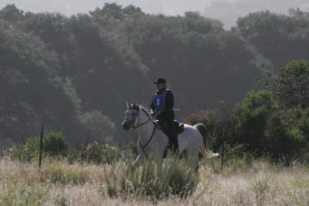 Santa Ynez 2008