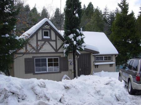 Shady cabin