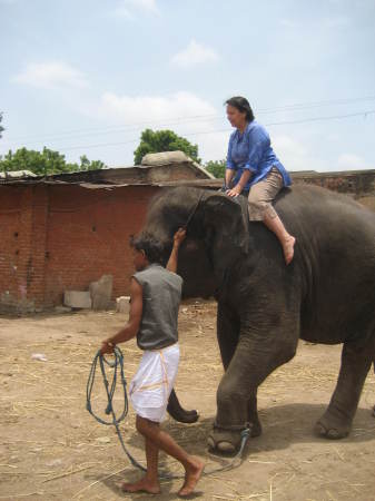 elephant ride