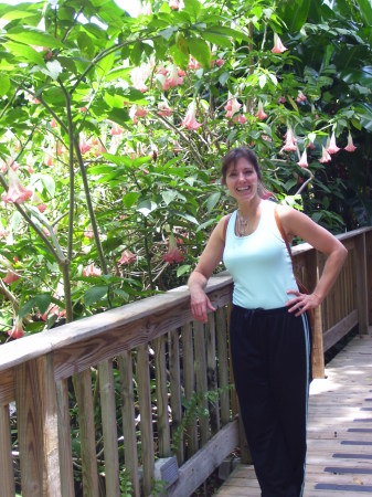 Boca Raton garden
