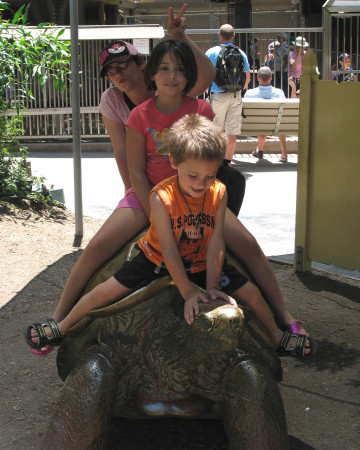 Riding the Turtle