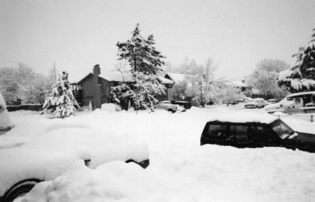 Hundred Year Snow Storm 2004-2005