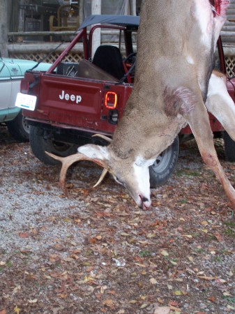 2008 rifle season