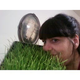 Wheatgrass - it does this body good!