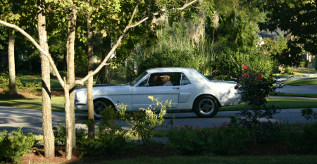 1966 Mustang GT