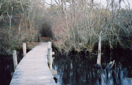 boardwalk at Quogue wildlife refuge