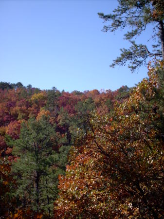 Fall colors