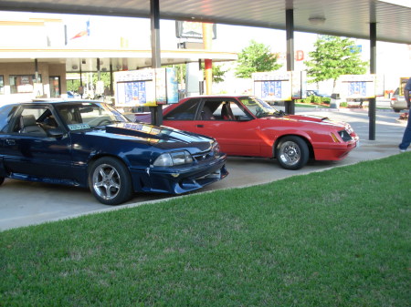 Mustang Mania