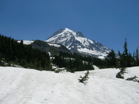 Alan MacDougall's album, Mt Hood, Cairn Basin Hike 7/10