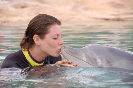 Discovery Cove '08