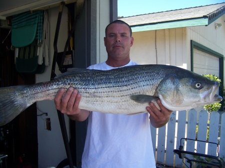 BIG STRIPER 003