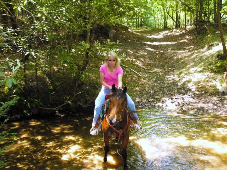 Trail ride