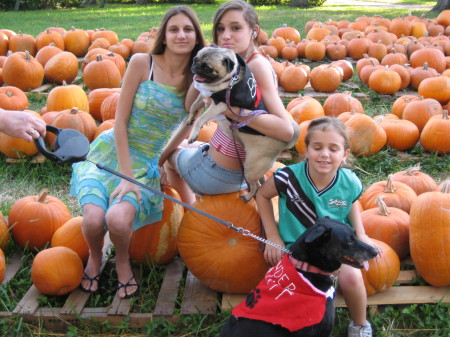 Pumpkin Patch