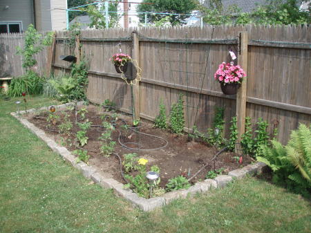 Lucy's Garden 2010