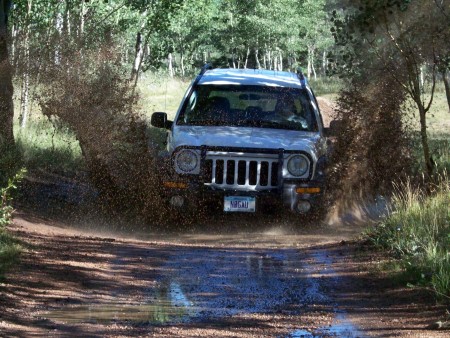 Playing in the mud!