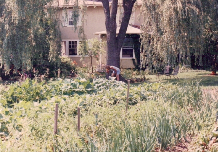 My old house in Hamilon,MA