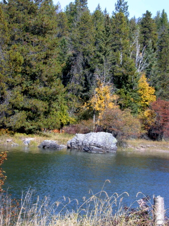 Fall in Bigfork