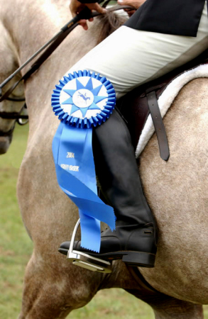 Gotta love the blue ribbons!