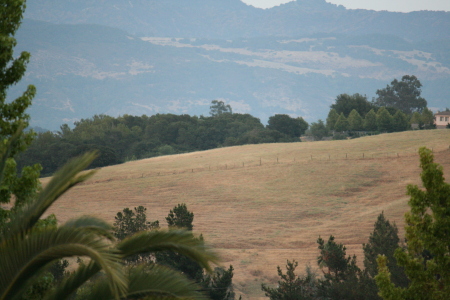 View from our deck