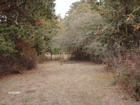 Farther into the property