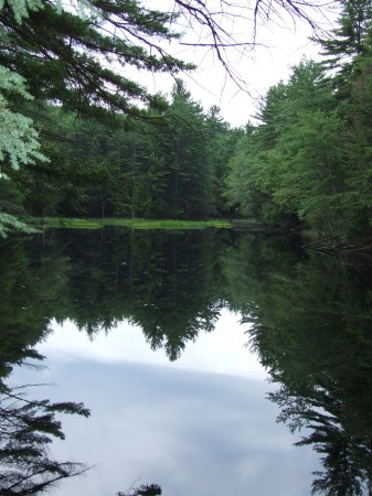 Pond in Warrick, MA