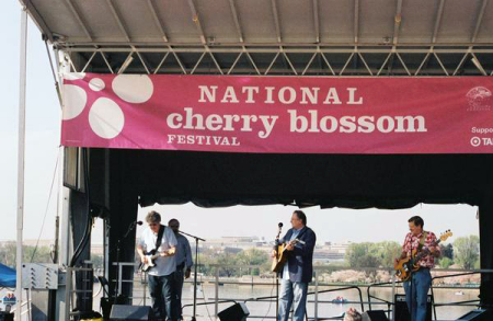 Cherry Blosson Festival