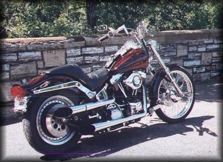 My 1989 Harley Davidson Softail