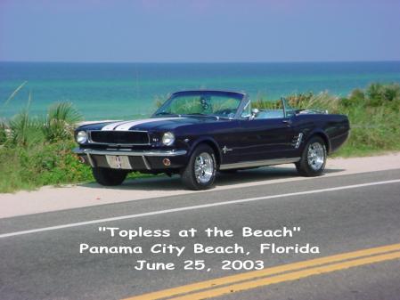 "My Baby" at the beach in 2003