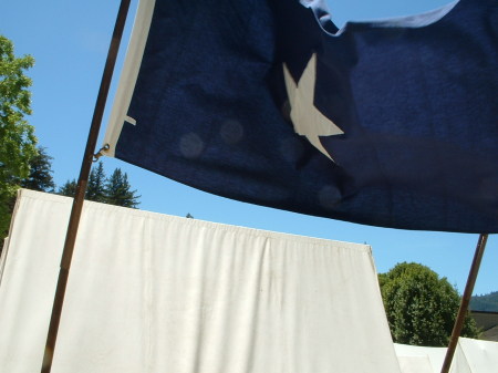 The Bonnie Blue Flag.