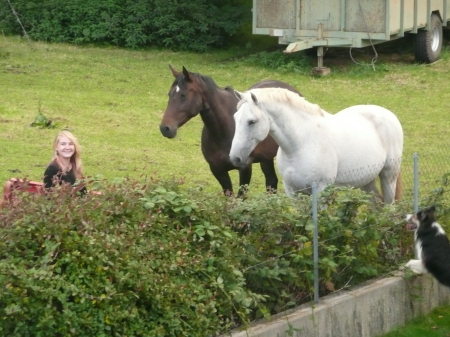 Colette with Niloute and Feugo (gray) in field